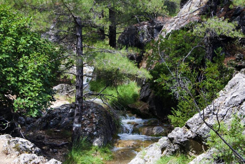 Cortijo El Chorreadero En Parque Natural Sierra De Cazorla Villa Los Rosales  Exterior photo