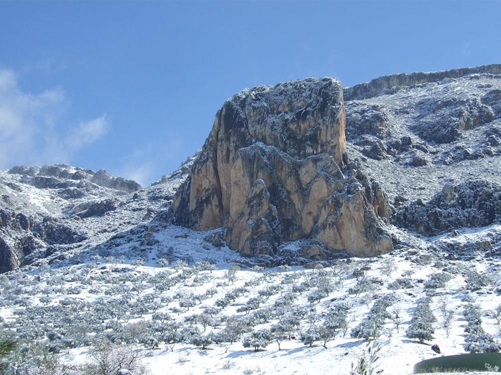 Cortijo El Chorreadero En Parque Natural Sierra De Cazorla Villa Los Rosales  Exterior photo